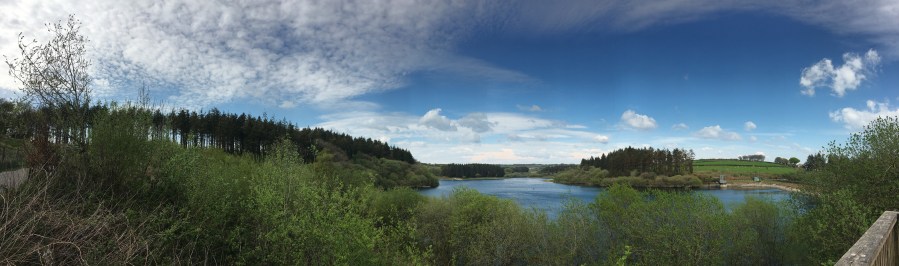 Panorama of Wistlandpound Reservoir
