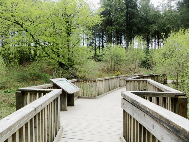 Wooden bridge at Wistlandpound