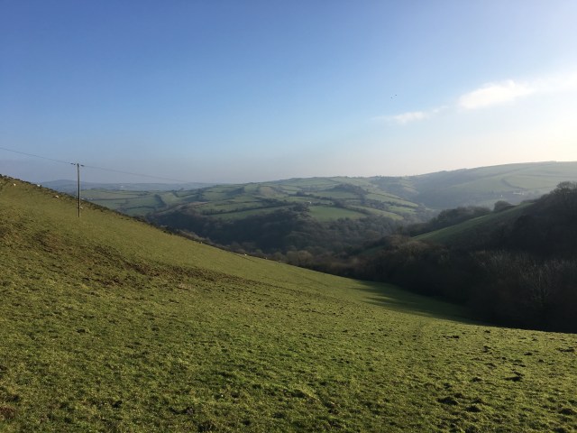 Field near farm near Berrynarbor