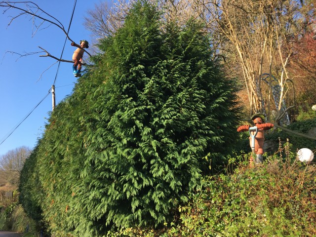 Flowerpot men in Berrynarbor