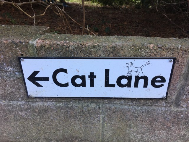 Cat Lane sign near Hele