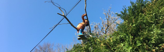 Naughty flowerpot man in Berrynarbor