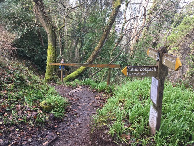Path down into Lynton