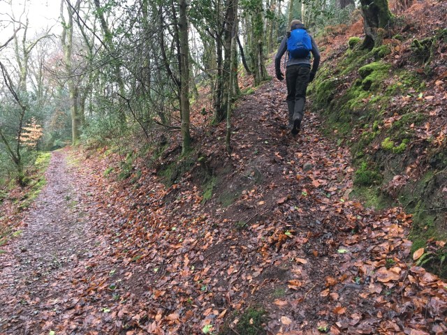 Path up to Trentishoe Down