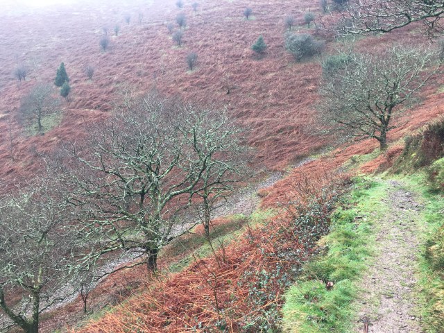 Path down to Heddon’s Mouth