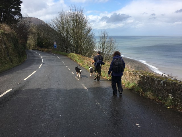 Road on the way to Lynton