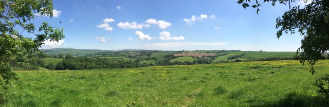 Stunning countryside on North Molton South Molton walk