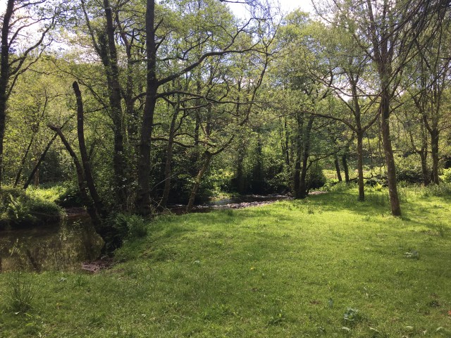 Good picnic spot by the River Mole