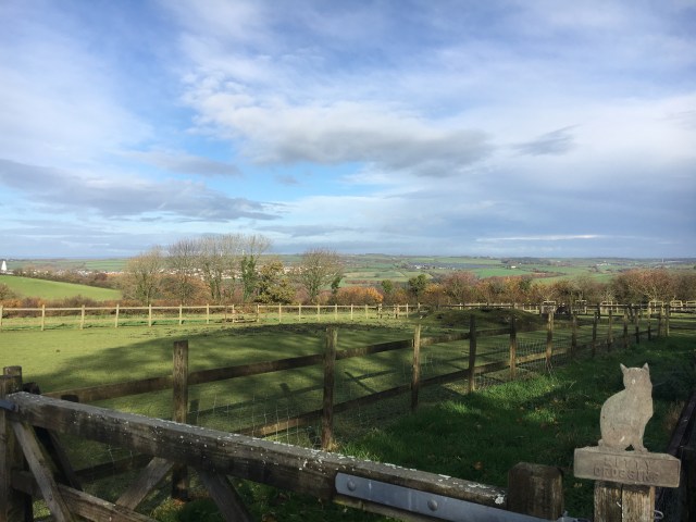 View from location of Tarka Pottery in Little Torrington