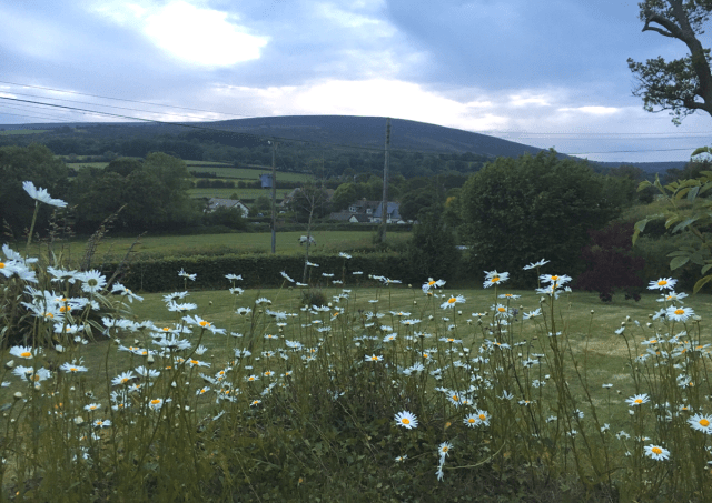 View from the Dunkery Beacon Country House Hotel