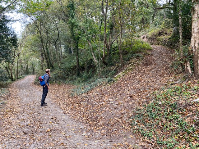 Path off to viewpoints near Blackchurch Rock
