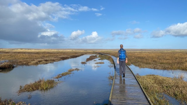 Walking on the boardwalk at Porlock marshes
