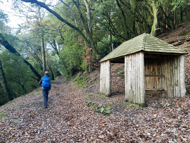 Wooden shelter on walk from Selworthy to Bossington